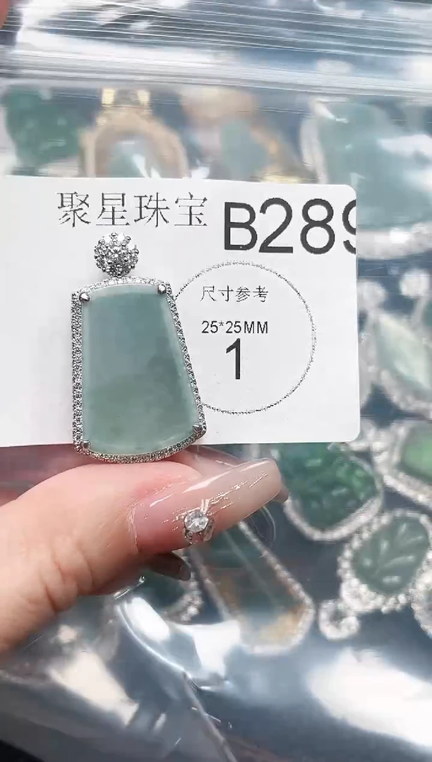 【闪购商品】翡翠颈饰未镶嵌 赠皮绳289