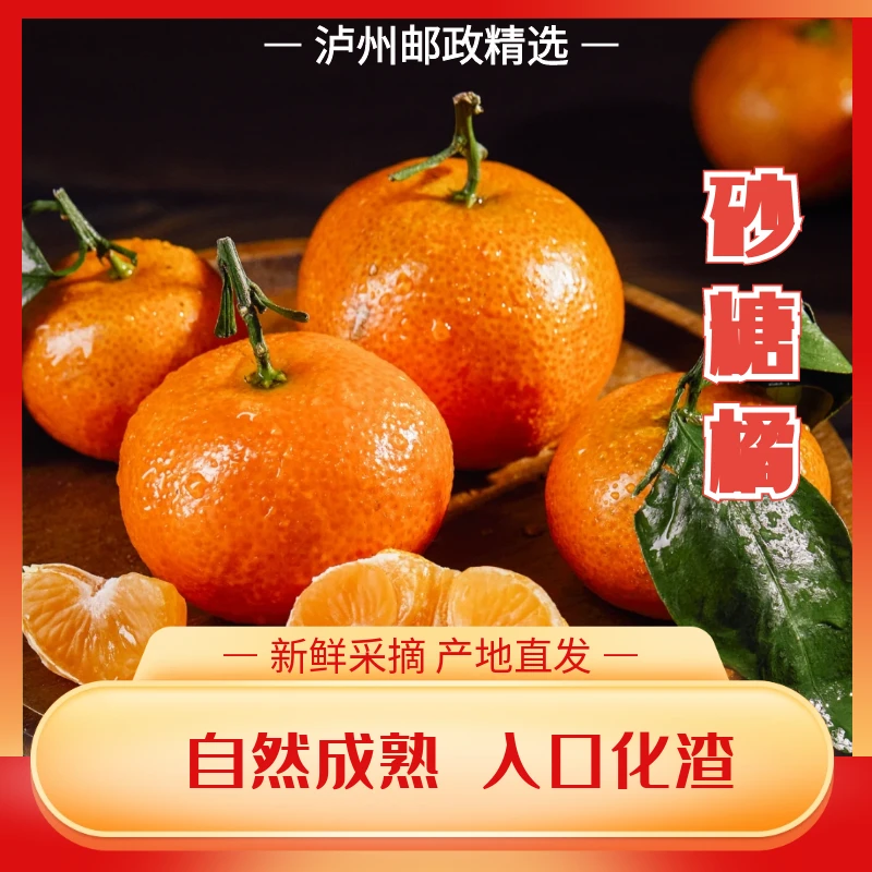 正宗砂糖橘 新鲜采摘 果园直发 香甜可口