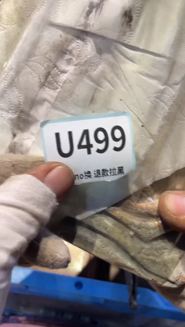 瓷片风*者表弟直播链接火爆