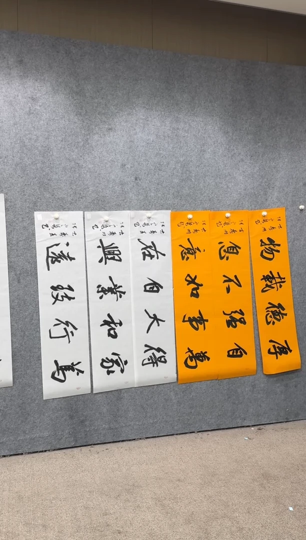 【闪购商品】书法pmw不二轩旗舰店书法ZDQ56