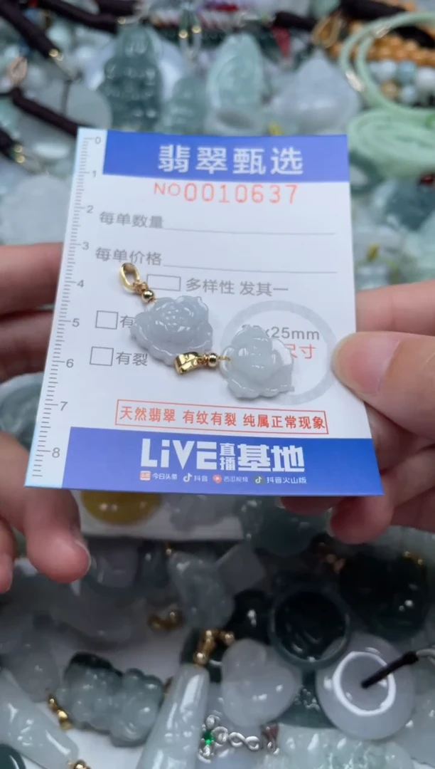 颈饰未镶嵌翡翠10637