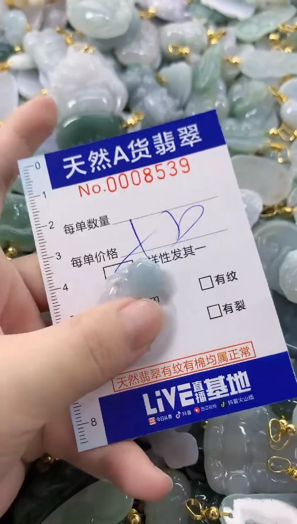 颈饰未镶嵌翡翠天然A货翡翠