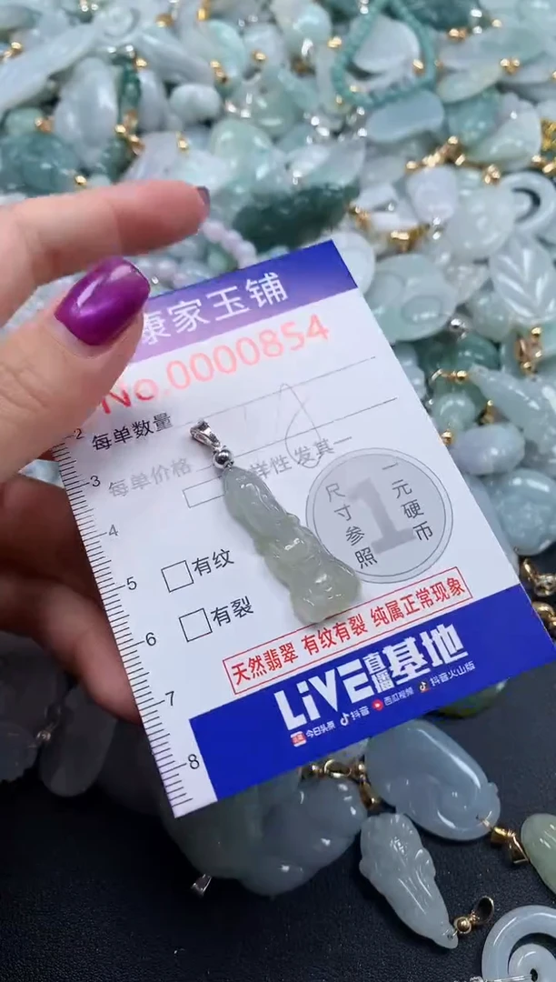 颈饰未镶嵌翡翠854