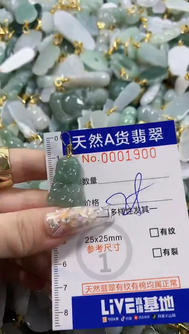 颈饰未镶嵌翡翠天然A货翡翠