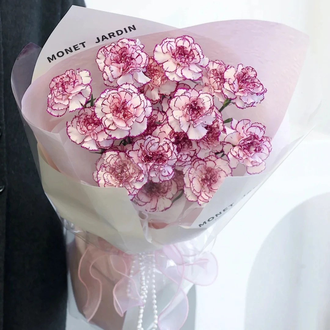 【探花甄选】紫精灵康乃馨 云南基地直发 两单 顺丰冷链