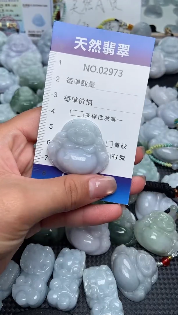 颈饰未镶嵌翡翠纯天然A货翡翠2973