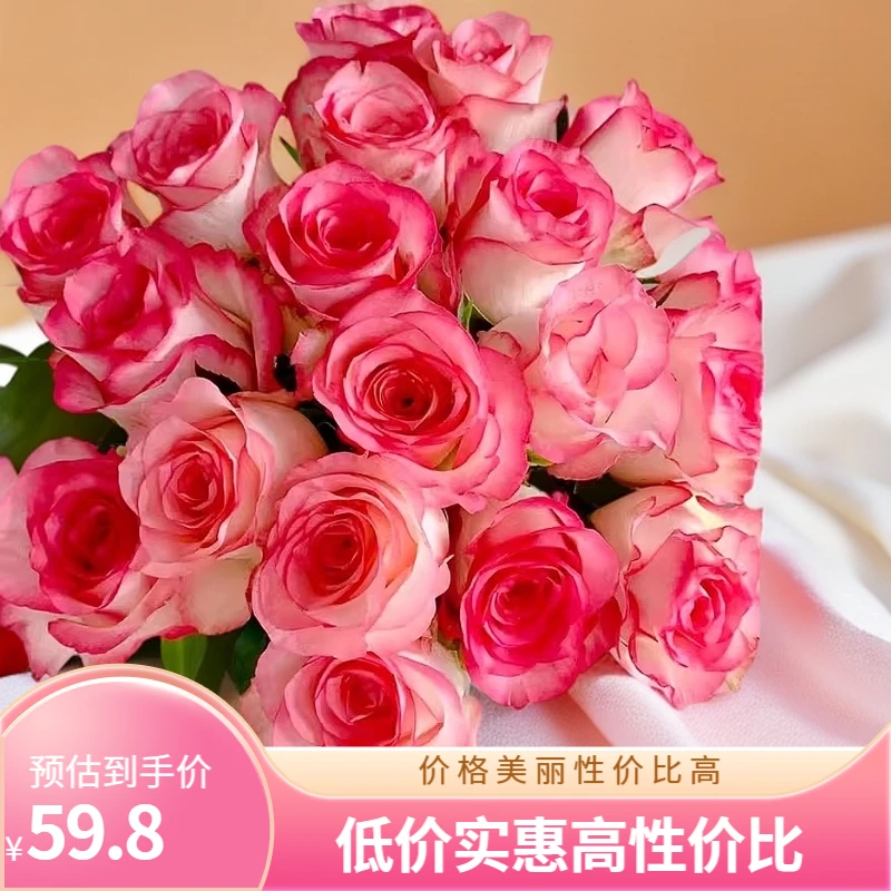 【顺丰包邮】艾莎玫瑰鲜切花苗插花四季不断开大花浓香庭院阳台楼顶