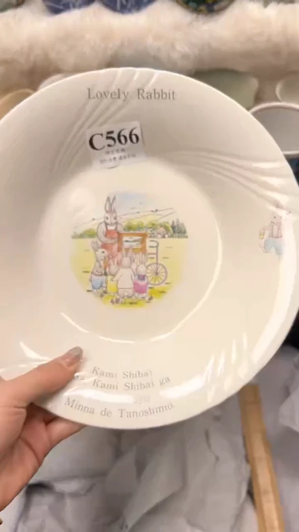 【闪购商品】瓷片          C566