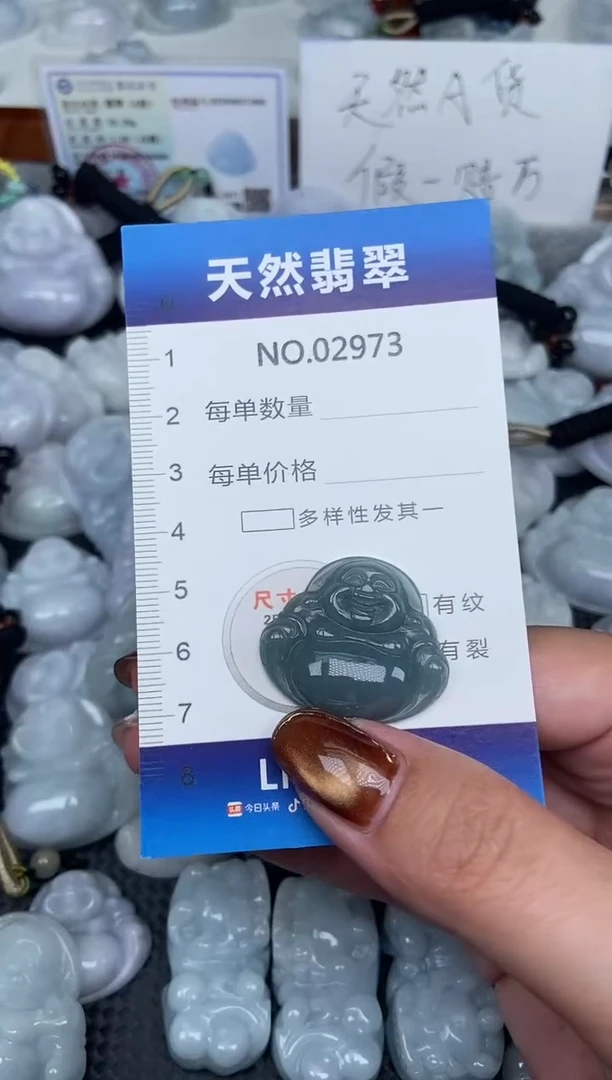 颈饰未镶嵌翡翠纯天然A货翡翠2973