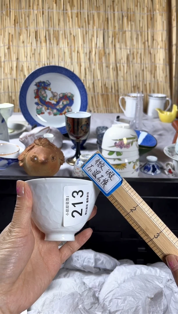 【闪购商品】碟              213