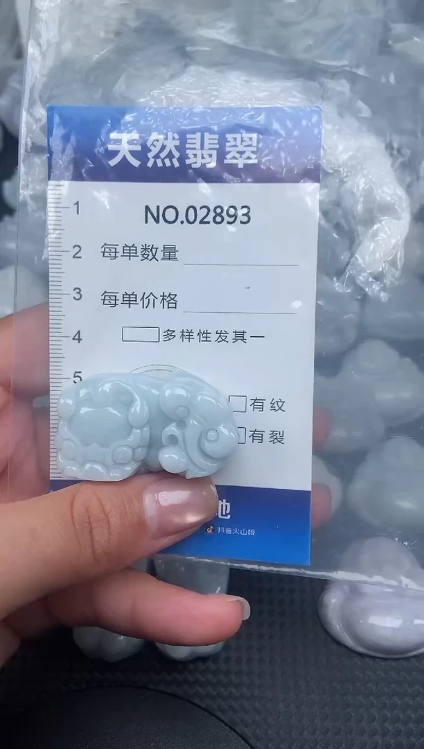 颈饰未镶嵌翡翠纯天然A货翡翠2893