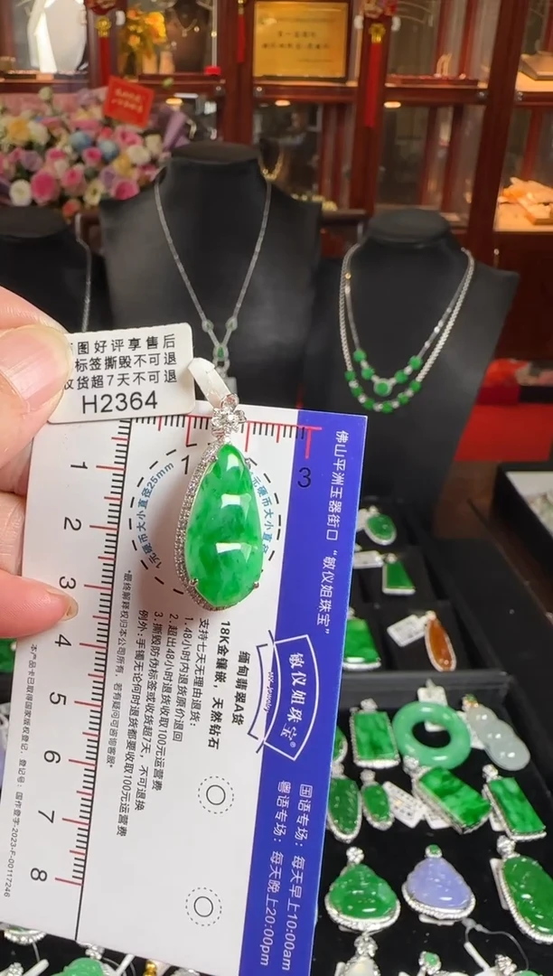 颈饰18K金镶嵌翡翠H2364绿富贵豆