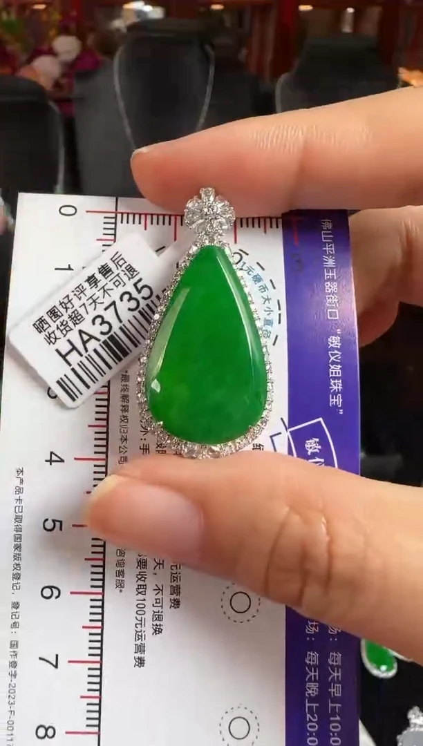 颈饰18K金镶嵌翡翠HA3735冰绿滴水