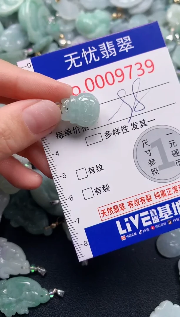 颈饰未镶嵌翡翠9739