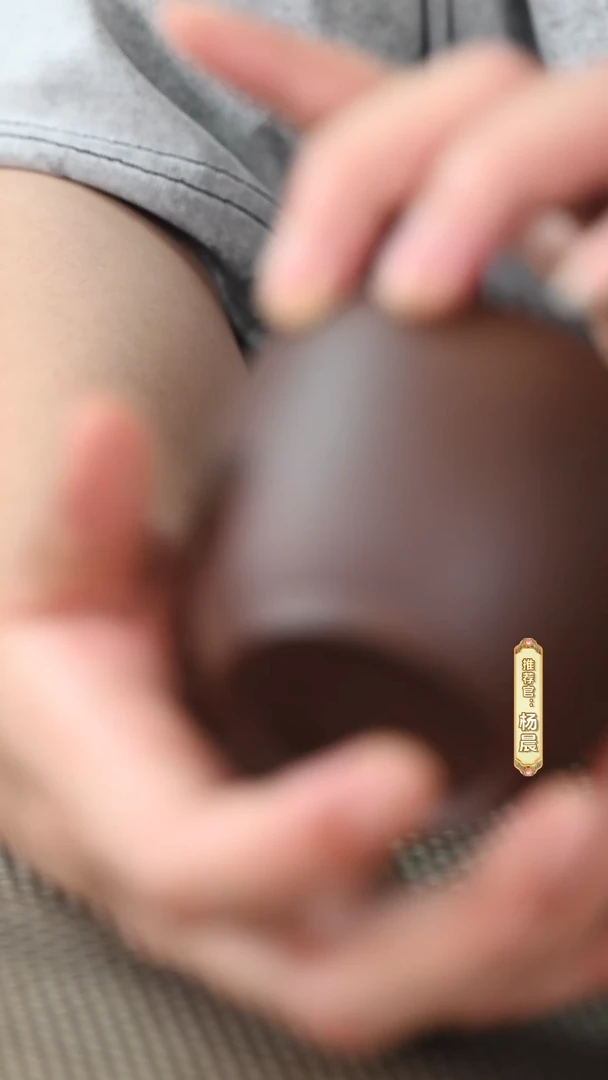 茶壶紫砂茶具从绝望悠