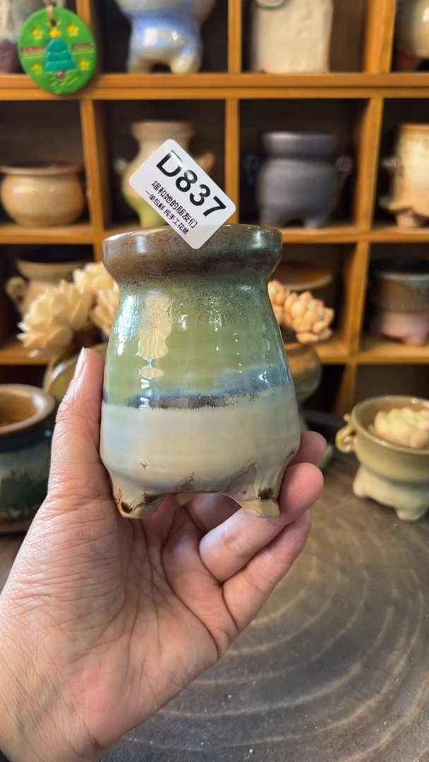 837 内口5.7【多肉花盆多肉盆】