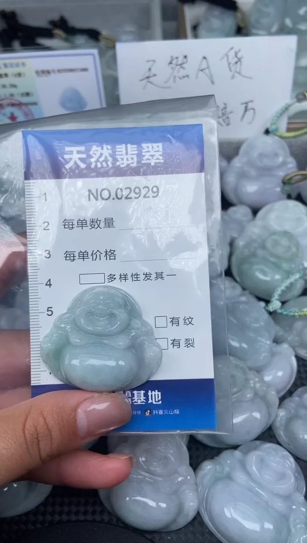 颈饰未镶嵌翡翠纯天然A货翡翠2929