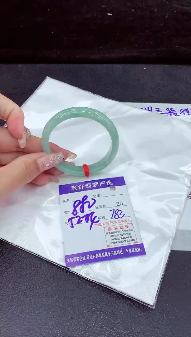 未镶嵌手镯翡翠1