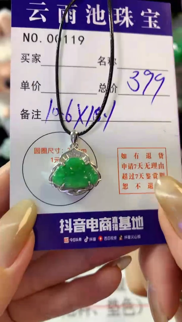 翡翠银S925镶嵌颈饰翡翠