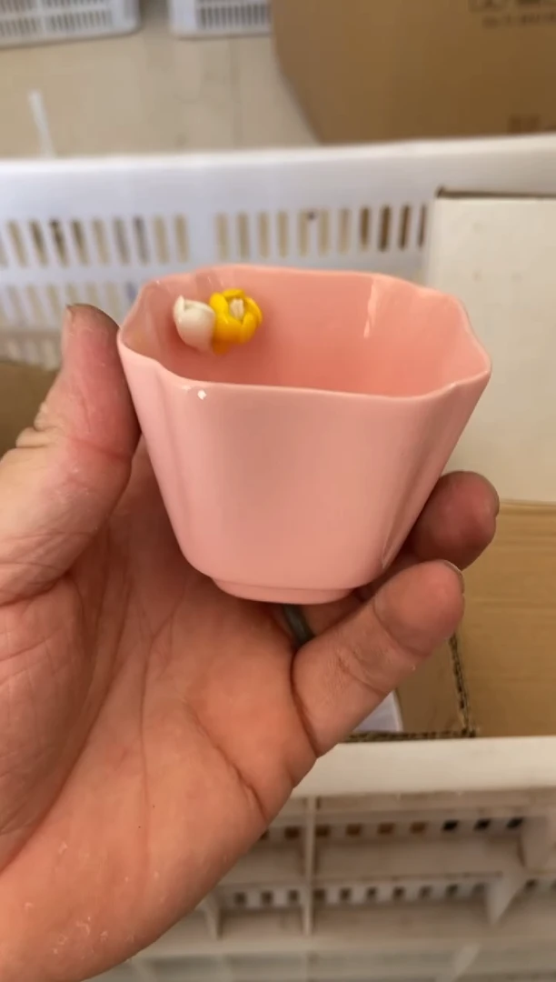 杯无运费险有瑕疵的摄影的产品有使用过的痕迹有点脏介意勿拍