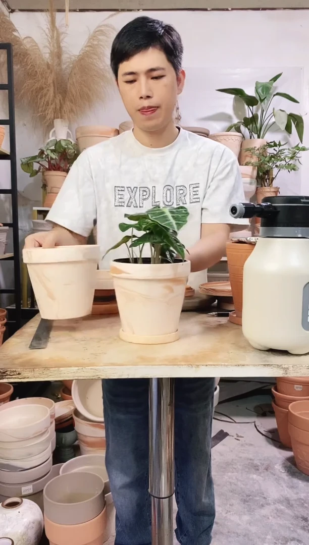 15*14玛奇朵 3盆3托