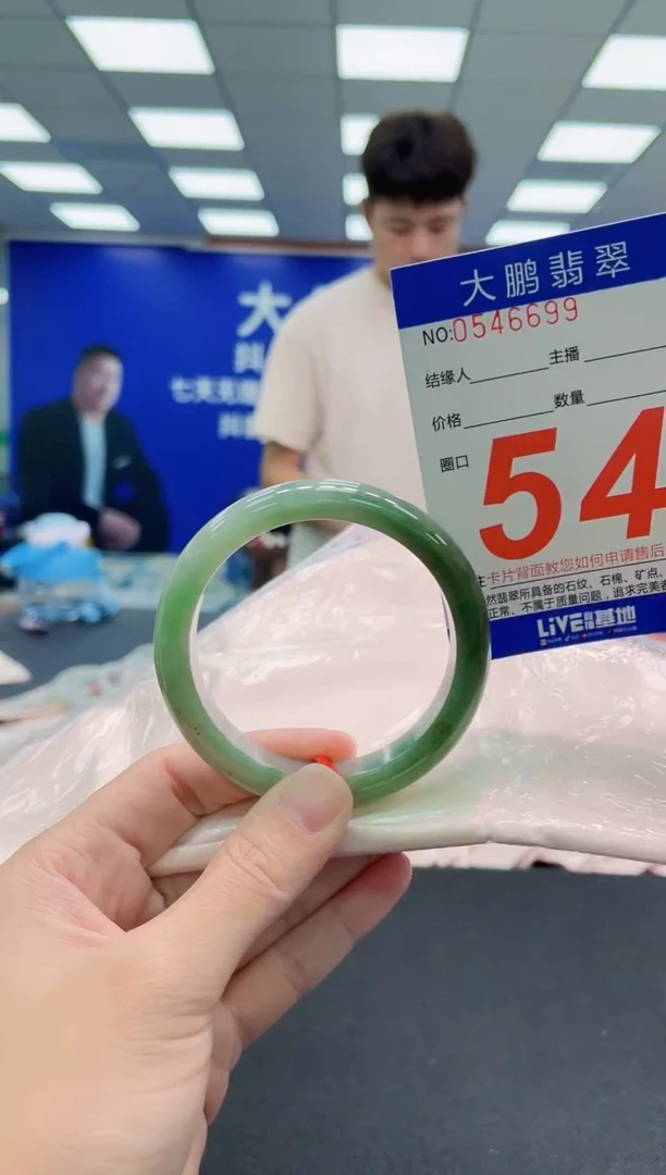 未镶嵌手镯翡翠AAAAAAAAA