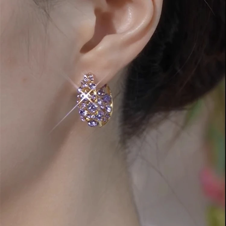 925银耳饰 2025新款大气时尚紫色圈圈纯银耳环百搭名媛精致耳扣女