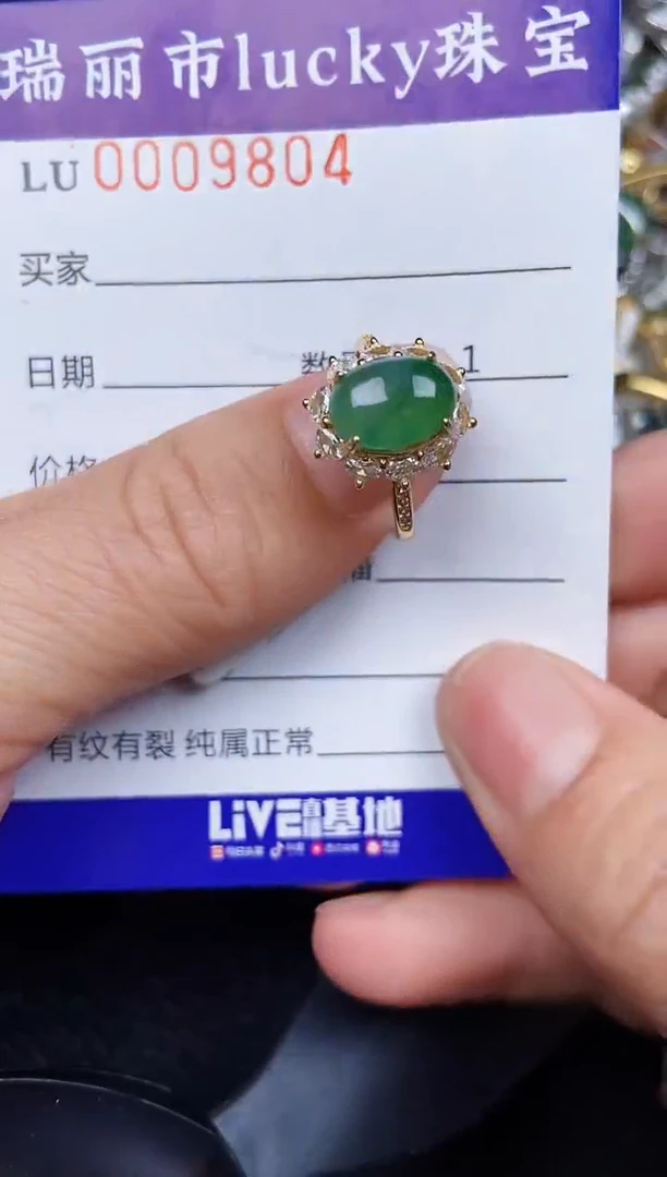 翡翠银S925镶嵌颈饰9804