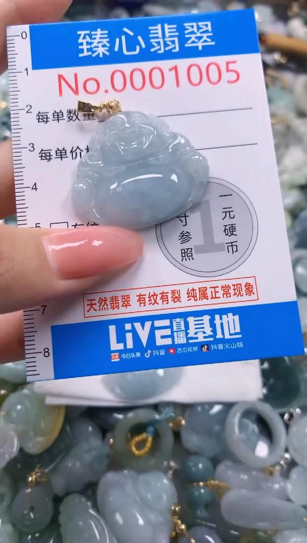 翡翠未镶嵌颈饰1005