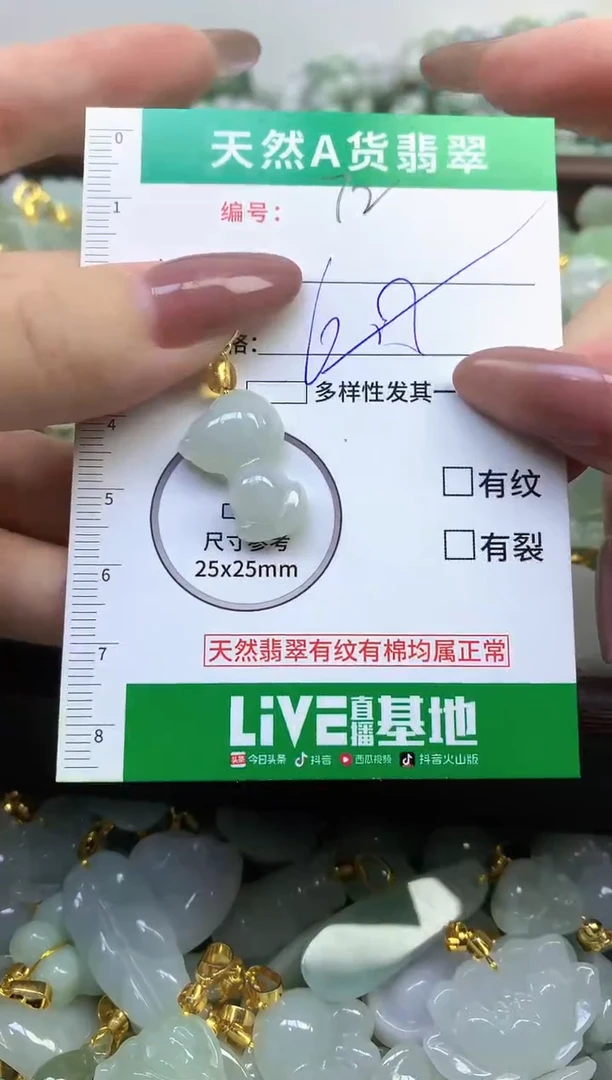 颈饰未镶嵌翡翠纯天然缅甸A货翡翠