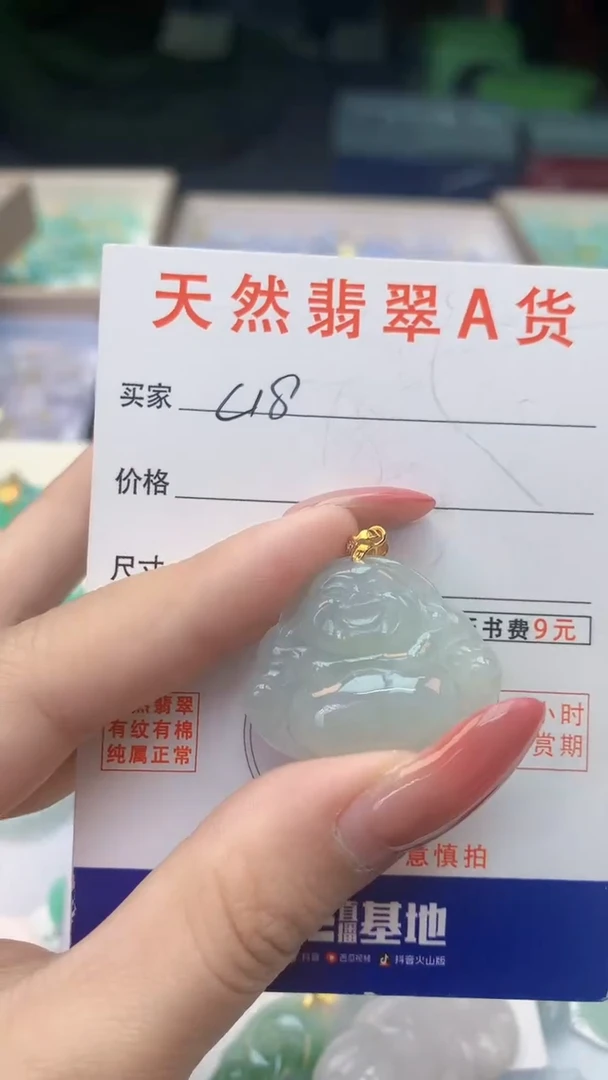 颈饰未镶嵌翡翠天然A货翡翠挂件