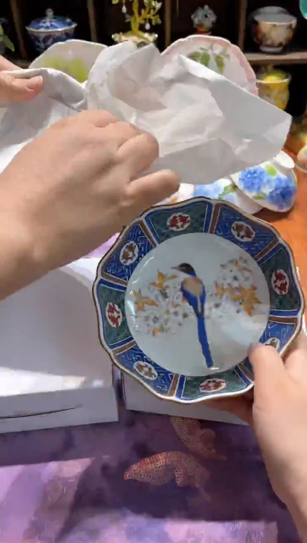 山鹰鸟了了了了了了了了