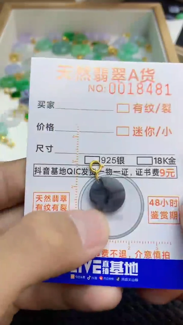 翡翠未镶嵌吊坠(不含链)              1