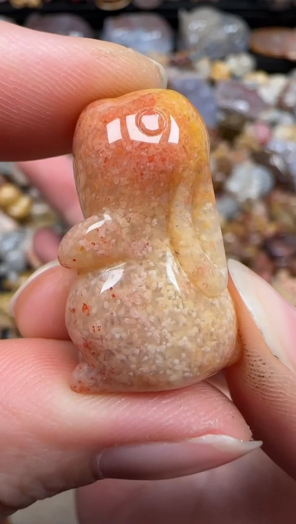 硅化珊瑚（珊瑚玉）未镶嵌颈饰173