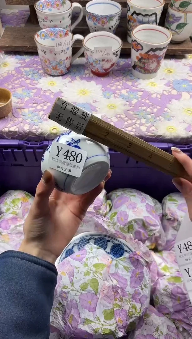 瓷片＊***?                     Y480