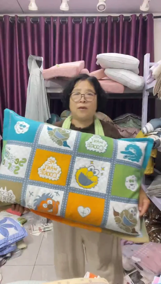 芝麻街 信封大枕套 一对