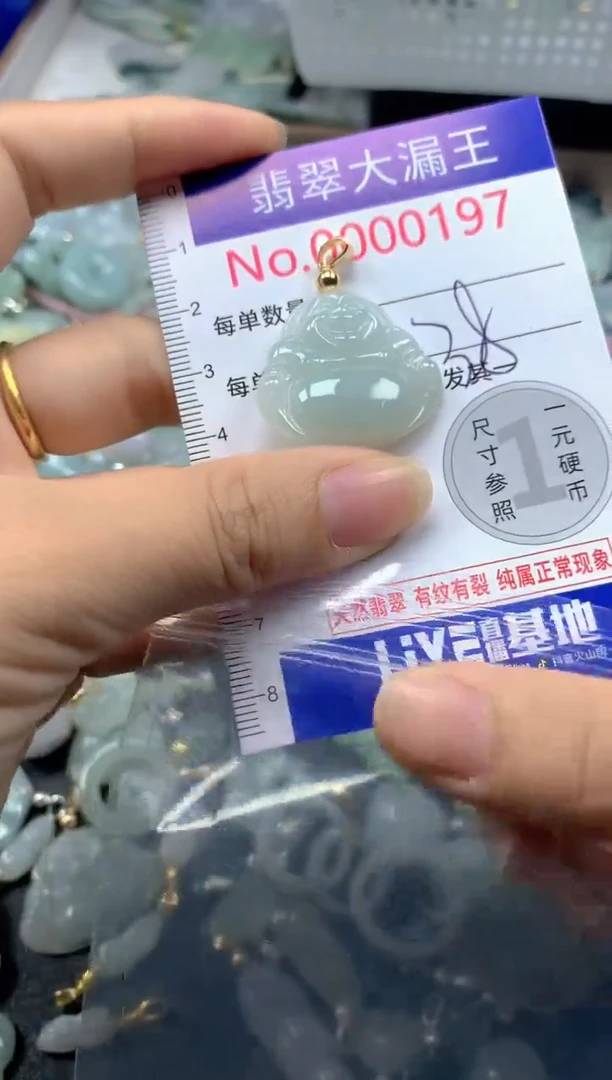 翡翠未镶嵌吊坠(不含链)197