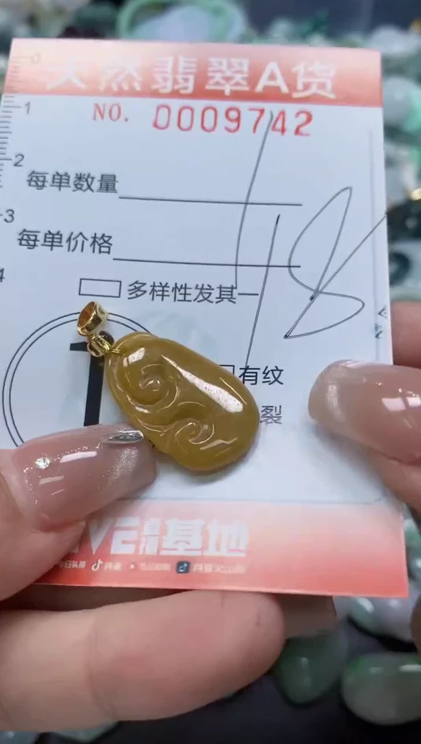 翡翠未镶嵌颈饰闪购0009742