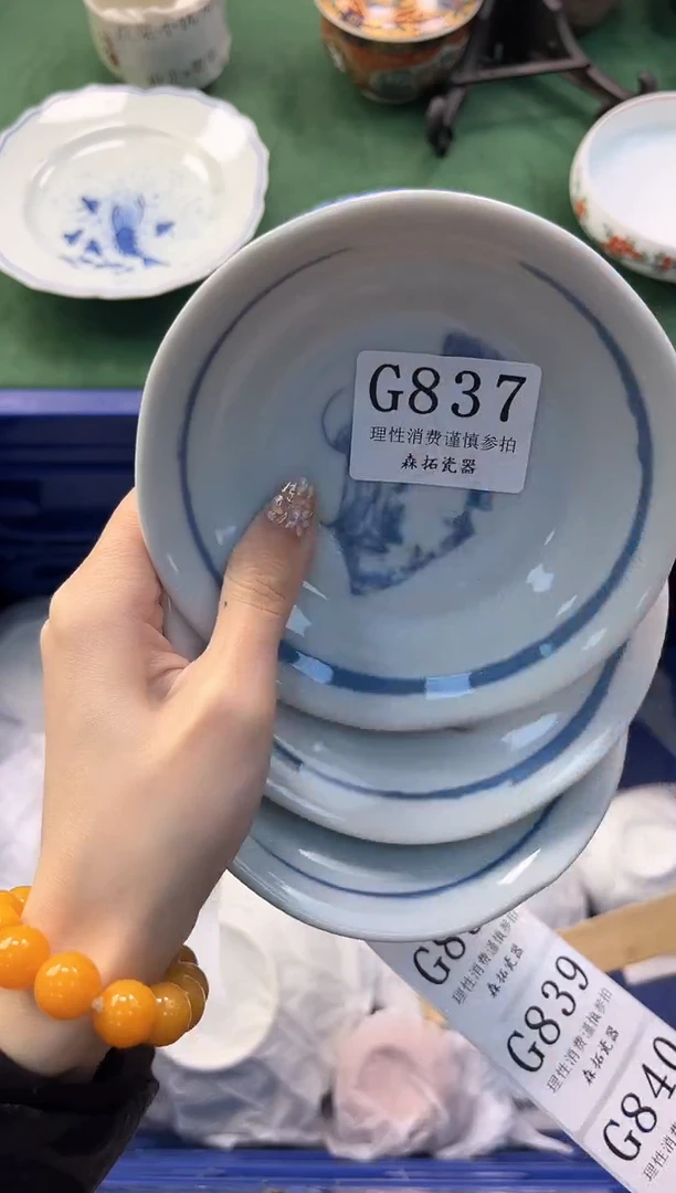 【闪购商品】瓷片          G837