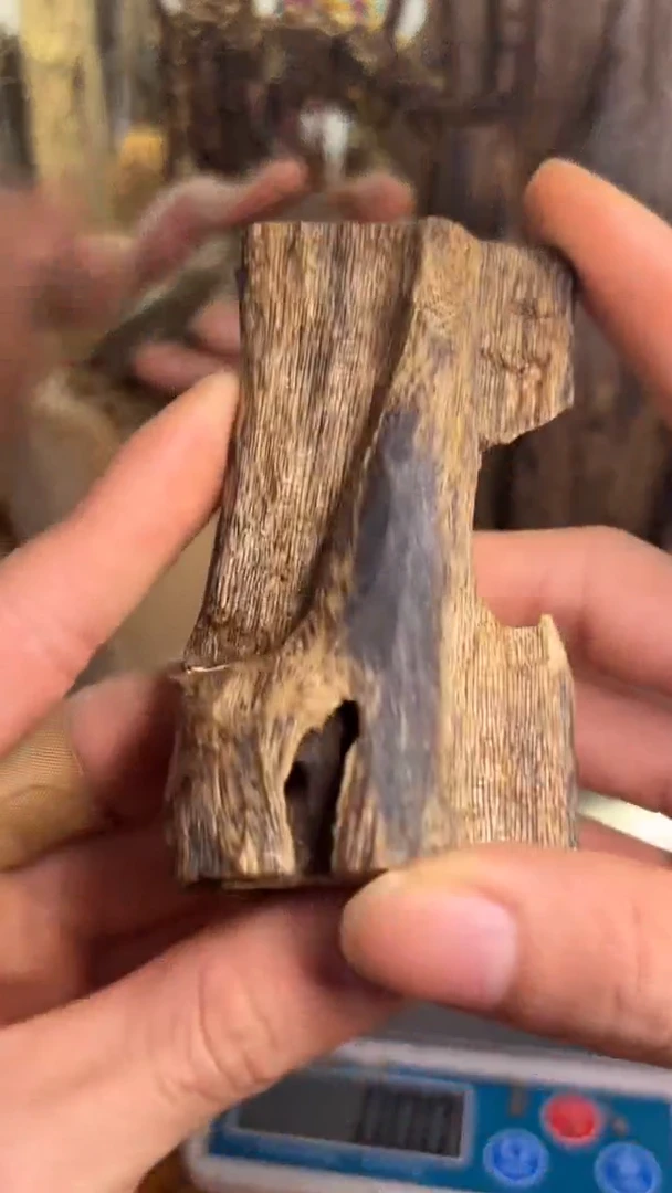 沉香沉香碎屑金沙叶品种24克