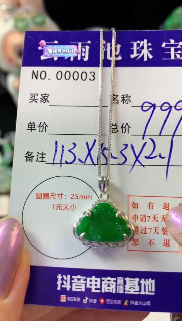 翡翠银S925镶嵌颈饰翡翠