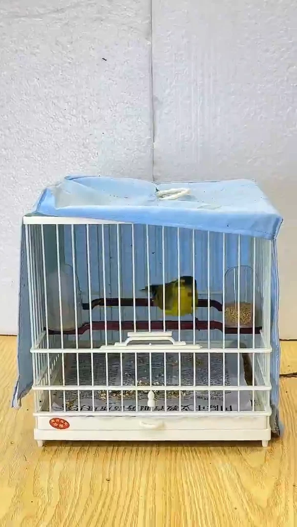 117号黄雀养笼0元起拍