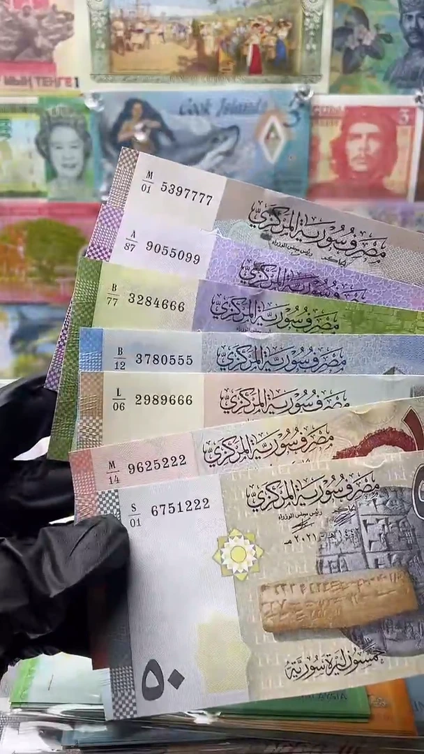 纸币厉*叙利亚7张6张豹子号