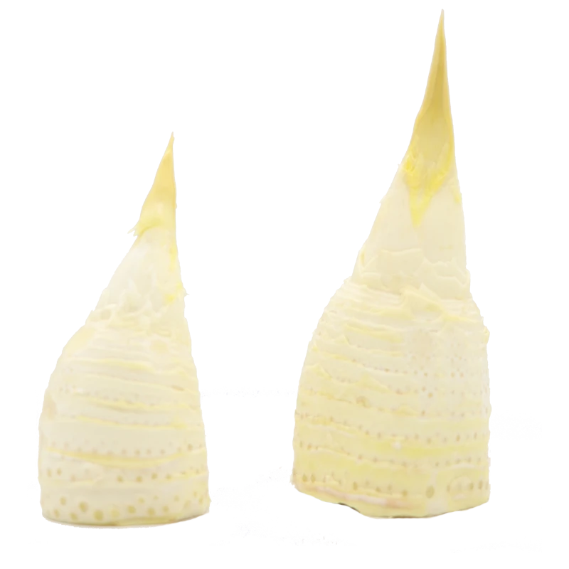 去皮冬笋200g