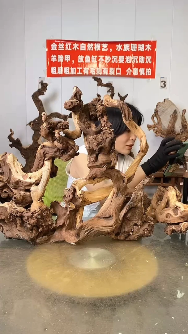 香榧木说**是金丝红木 羊蹄甲