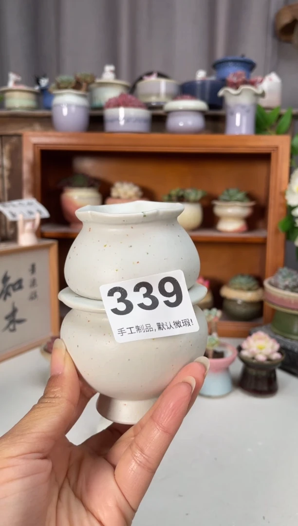 瓷片五*七339知木小芳花盆