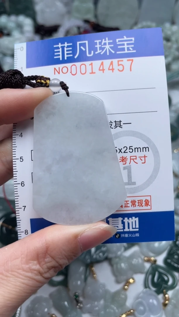 颈饰未镶嵌翡翠14457