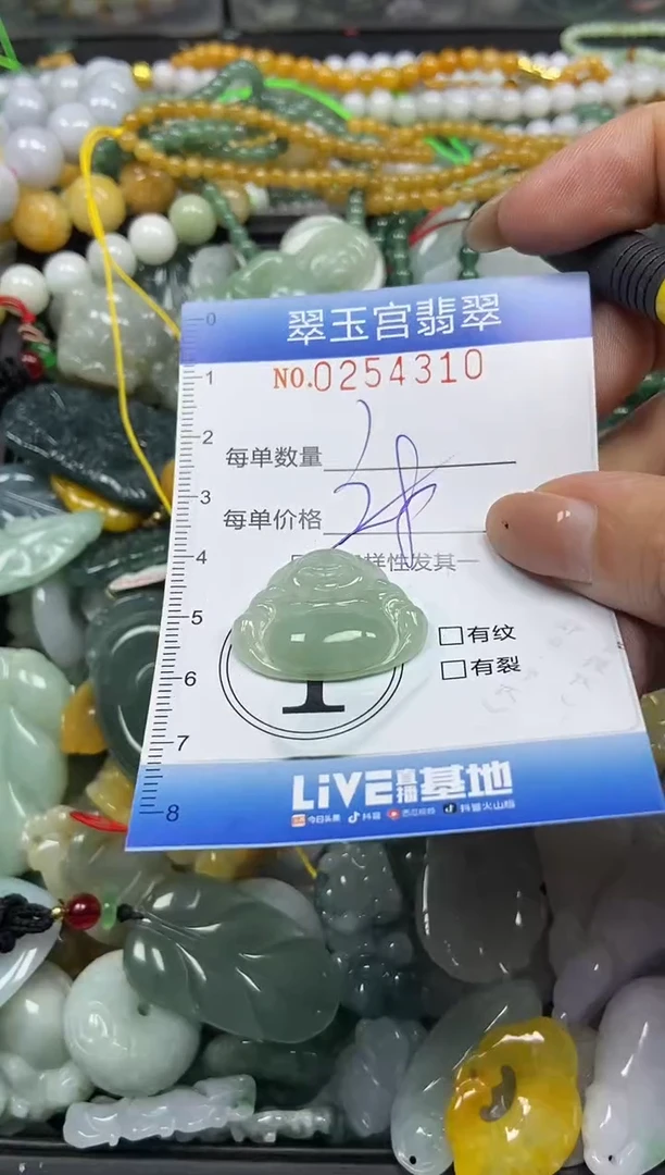 颈饰未镶嵌翡翠闪购C0254310
