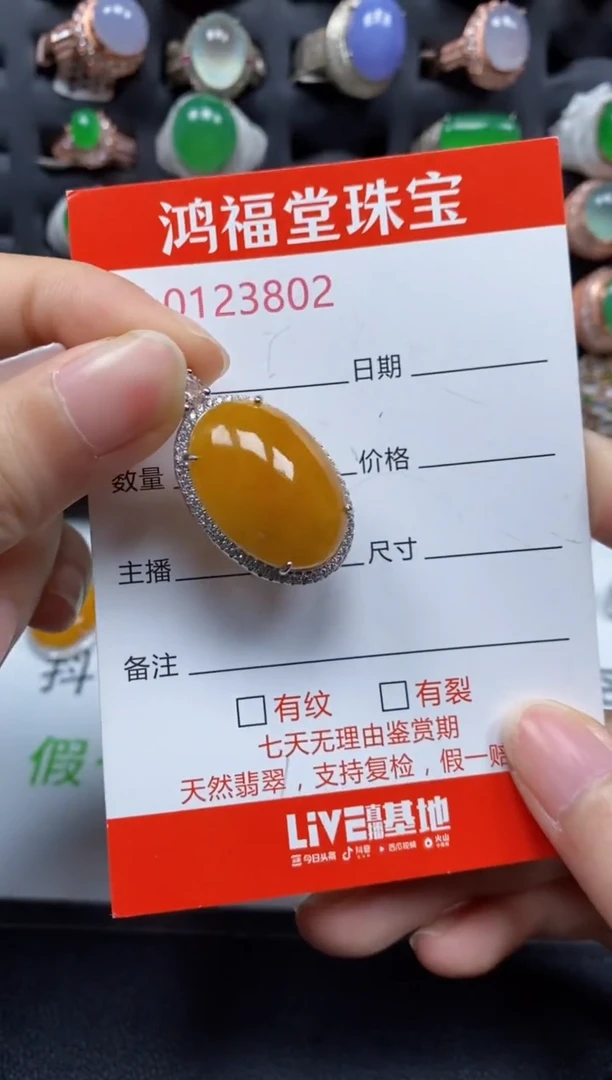 颈饰银S925镶嵌翡翠3802