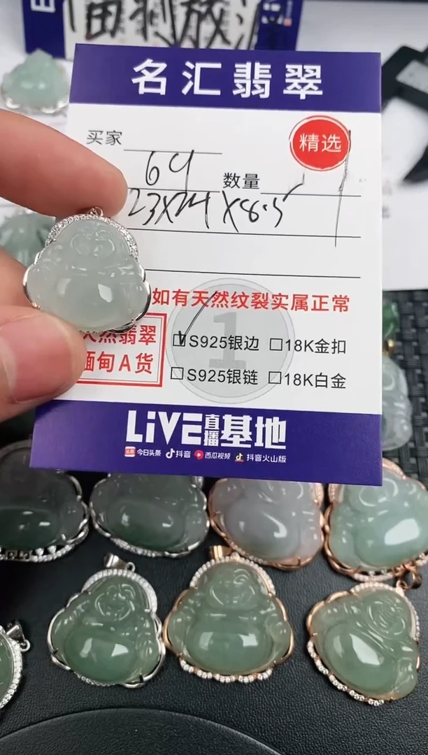 翡翠银S925镶嵌颈饰·